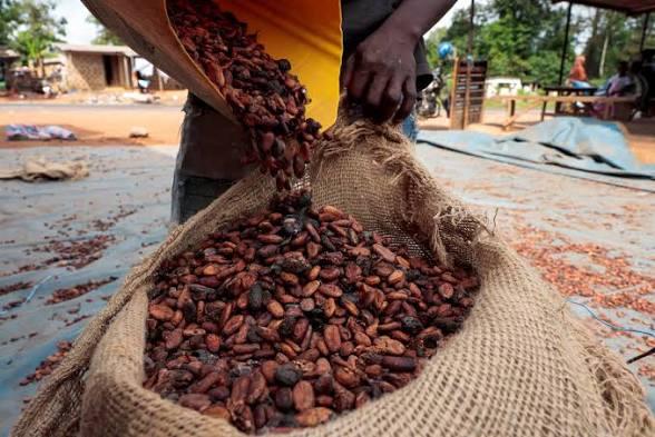 Parliament Locks in 70% Cocoa Export Price for Farmers as Ghana Overhauls Sector Governance